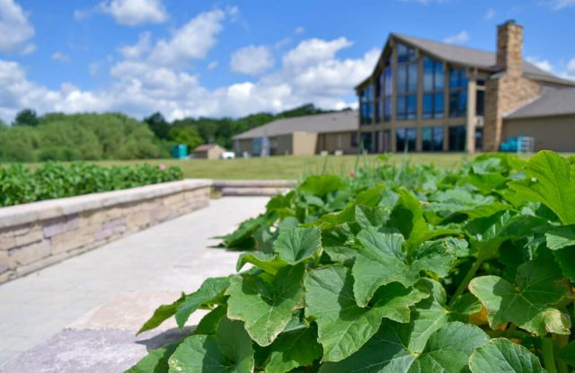 Serenity Garden Continues Tully Hill Tradition