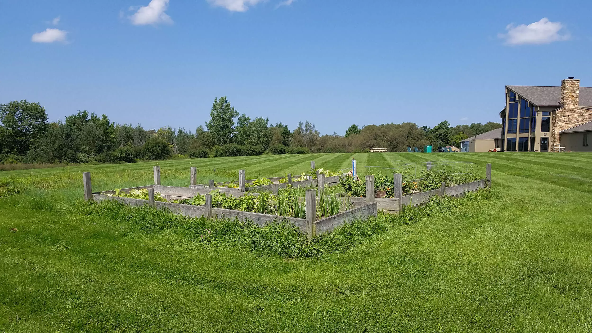 garden before reconstruction